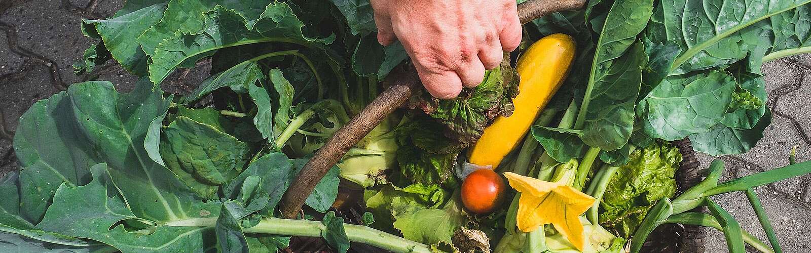 Ein Korb voll regionaler Produkte - Daniel Reuner
