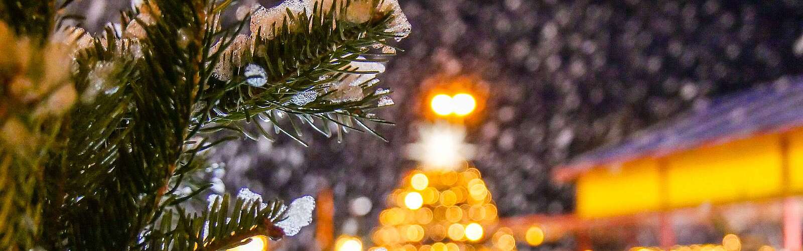 Lichterglanz Klaistow Erlebnishof