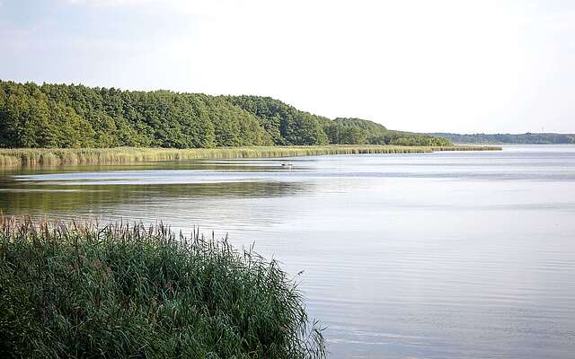 Der Mellensee