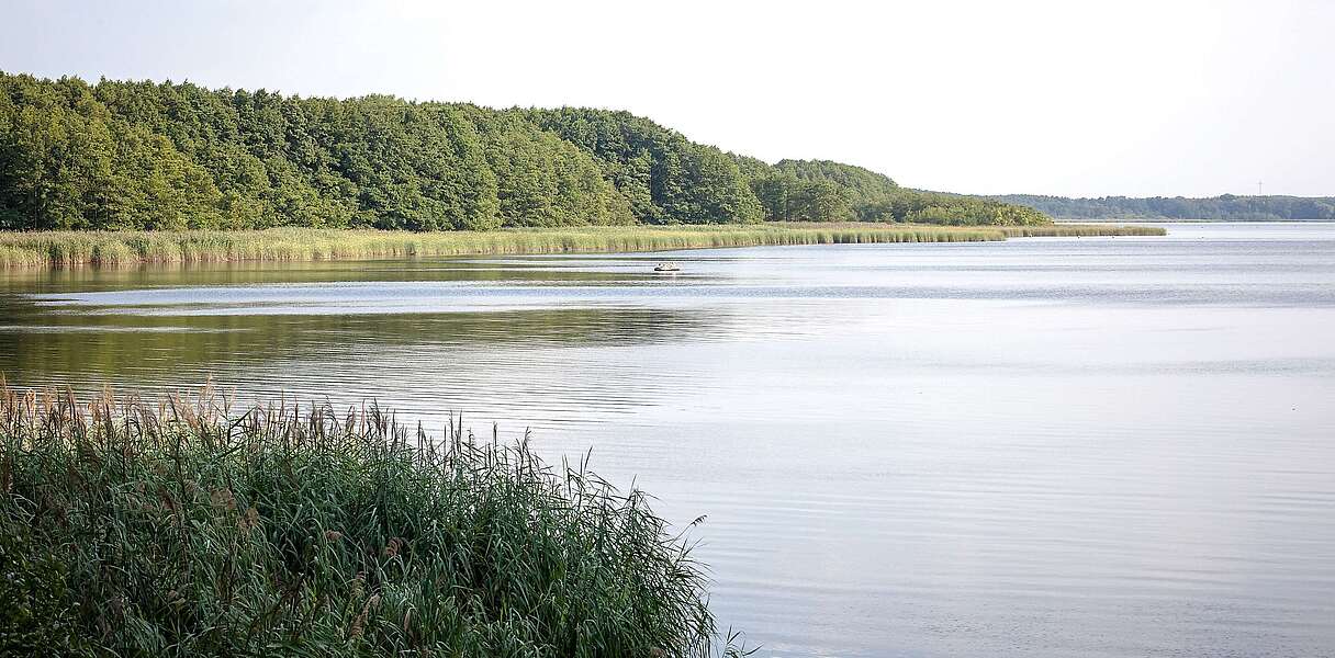 Der Mellensee