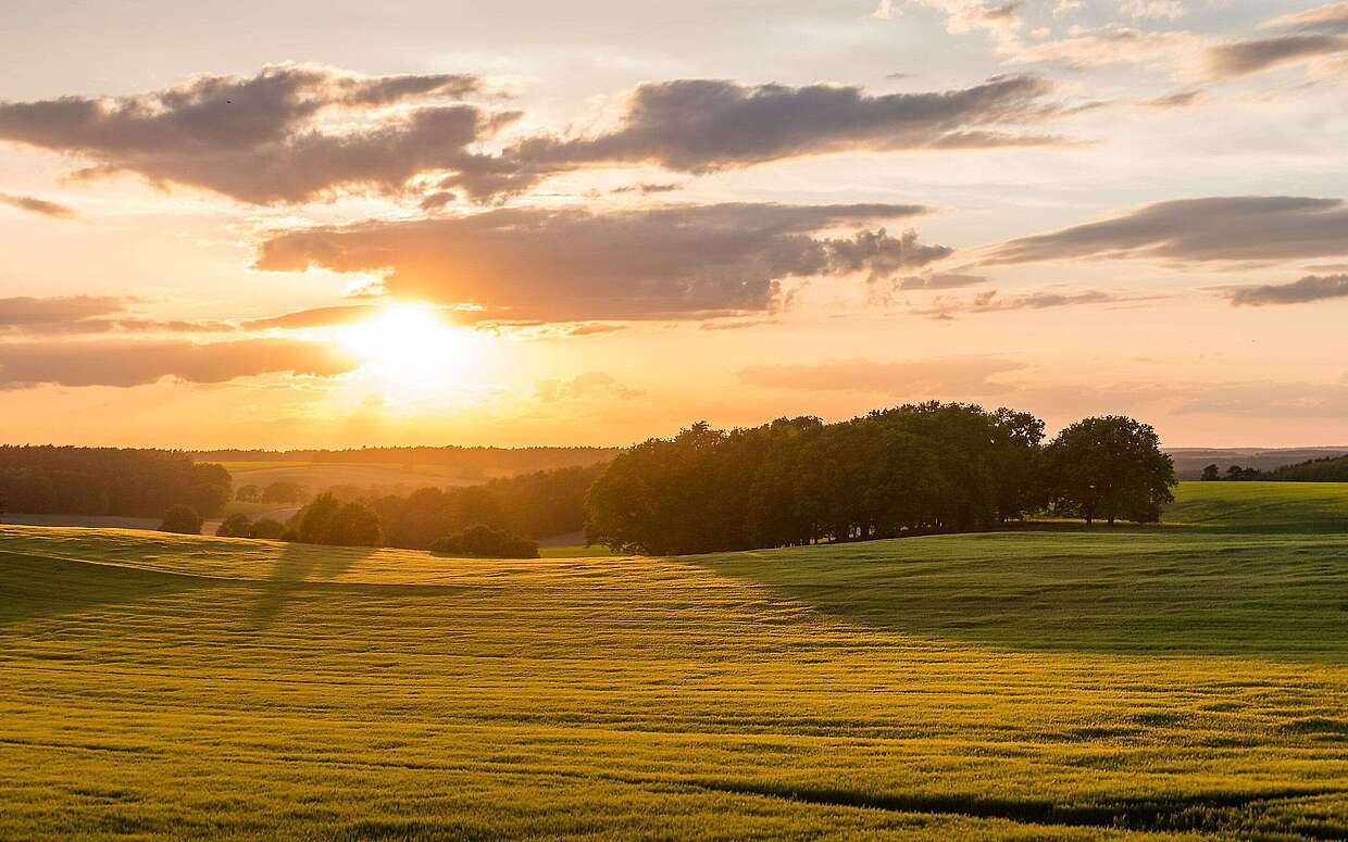 Sonnenuntergang im Fläming
