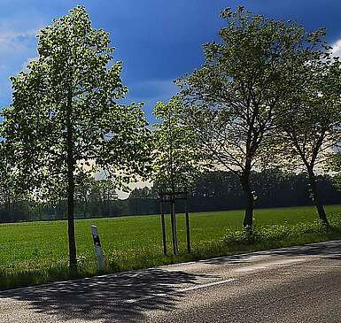 Entlang der Landstraße nach Löwenberg