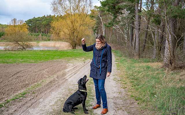 Skatehotel Gutshaus Petkus - A. v. Lochow auf dem Familienwanderweg