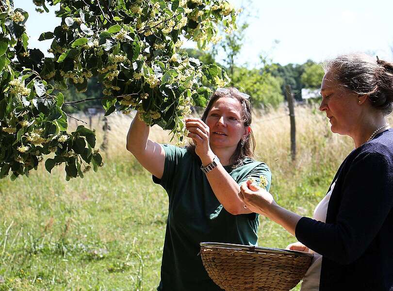 Seifenmanufaktur Gabi Sußdorf