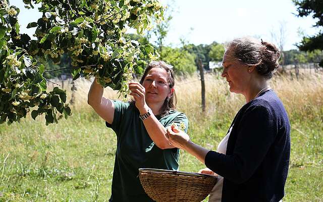 Seifenmanufaktur Gabi Sußdorf