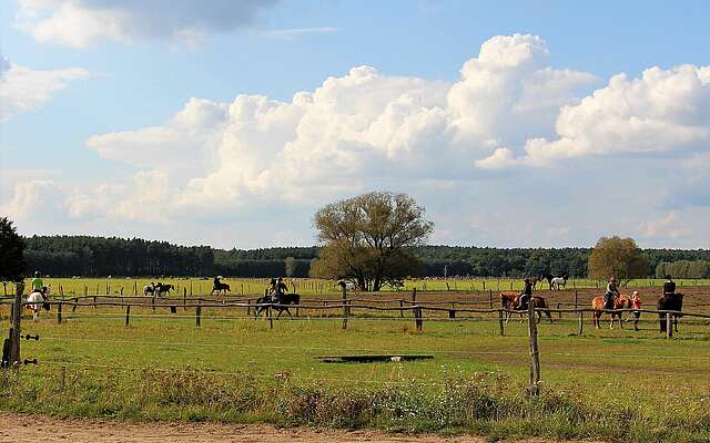 Reiter- & Erlebnisbauernhof Groß Briesen