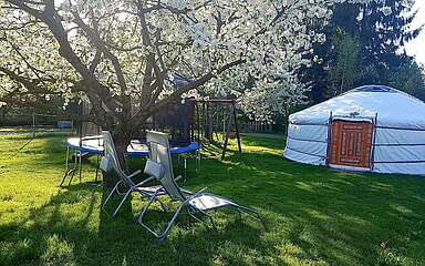 Jurte unter blühenden Obstbäumen