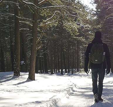 Wanderndes Paar im verschneiten Wald
