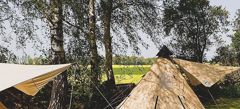 Zelte vor Rapsfeld in Oehna