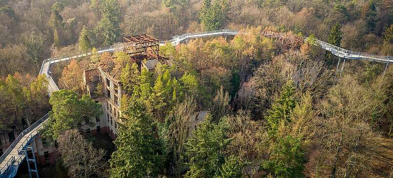 Baumkronenpfad in Beelitz Heilstätten