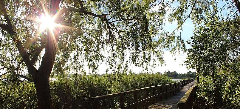 Blankensee im Naturpark Nuthe-Nieplitz