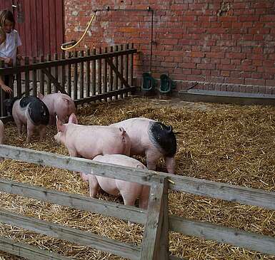 Gut Schmerwitz zur Brandenburger Landpartie