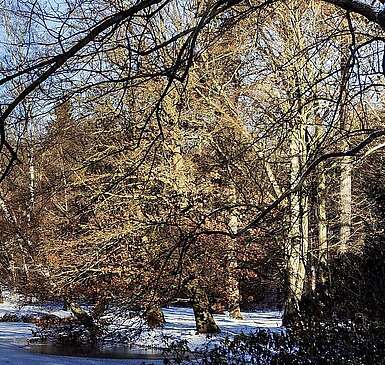 Schloss Wiesenburg im Winter