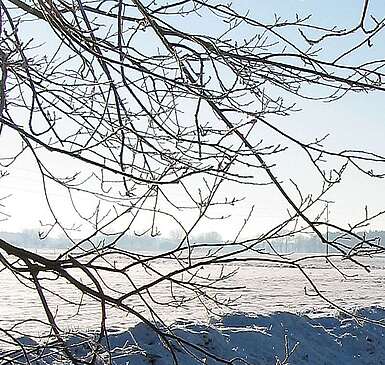 Winterlandschaft Fläming Zauche