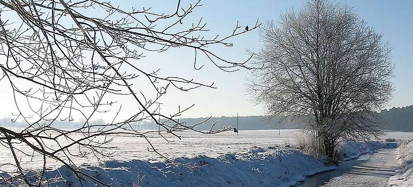 Winterlandschaft Fläming Zauche