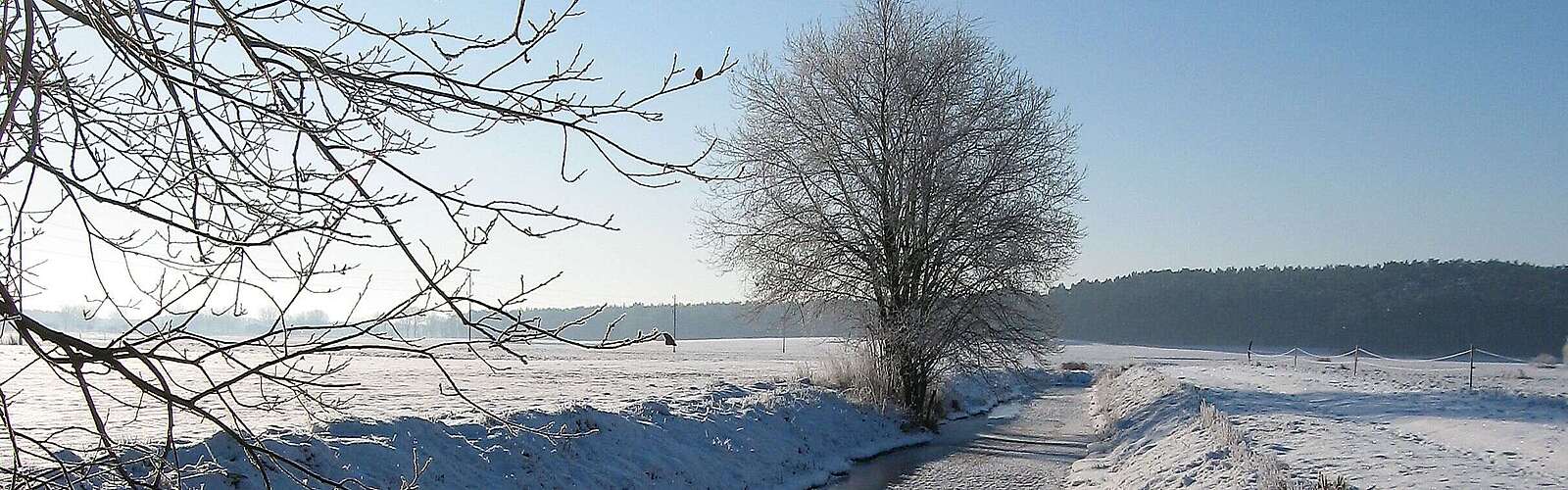 Winterlandschaft Fläming Zauche
